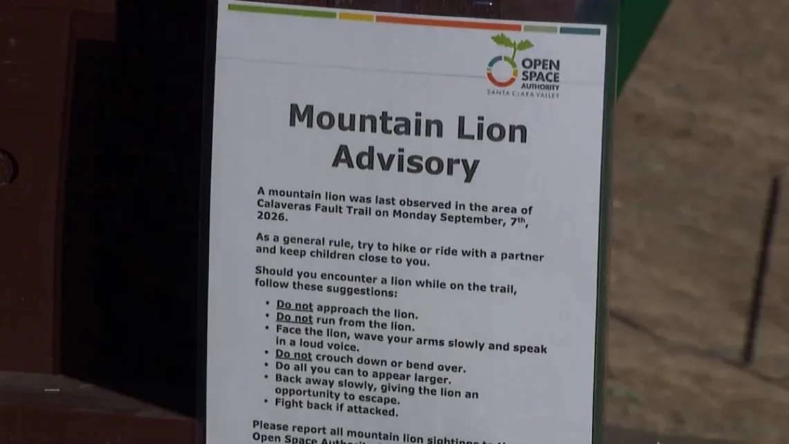 Warning signs at a Bay Area trailhead advise hikers about mountain lion safety