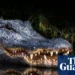Florida alligator warning sign near a river in Seminole County