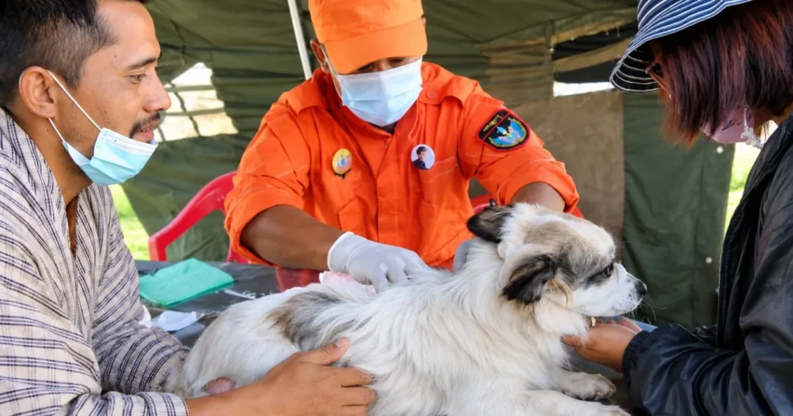 CDC rabies warning about animal bites and post-exposure treatment