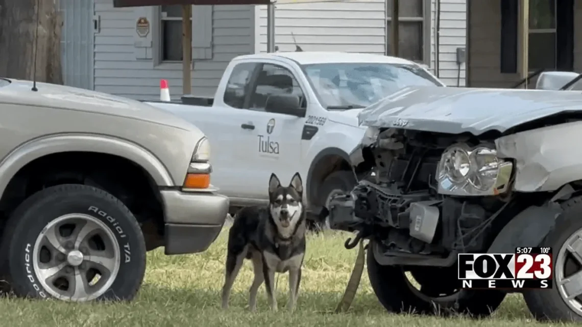 USPS mailbox and a north Tulsa street where mail delivery was suspended بسبب loose dogs