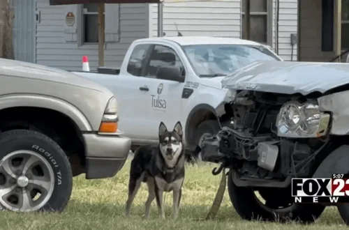 USPS mailbox and a north Tulsa street where mail delivery was suspended بسبب loose dogs