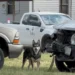 USPS mailbox and a north Tulsa street where mail delivery was suspended بسبب loose dogs