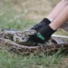 A Burmese python associated with Florida's annual Python Challenge